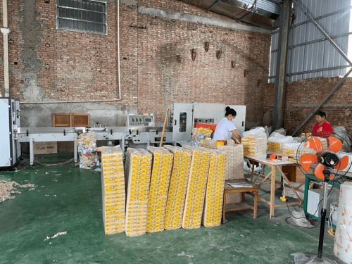 農(nóng)村辦衛(wèi)生紙加工廠 市場前景與個人衛(wèi)生用品銷售策略探析