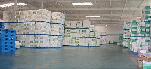 遼寧雨森 年產(chǎn)16萬噸生活用紙，深耕個人衛(wèi)生用品領(lǐng)域